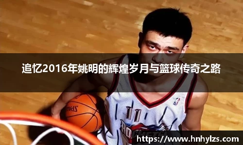 追忆2016年姚明的辉煌岁月与篮球传奇之路